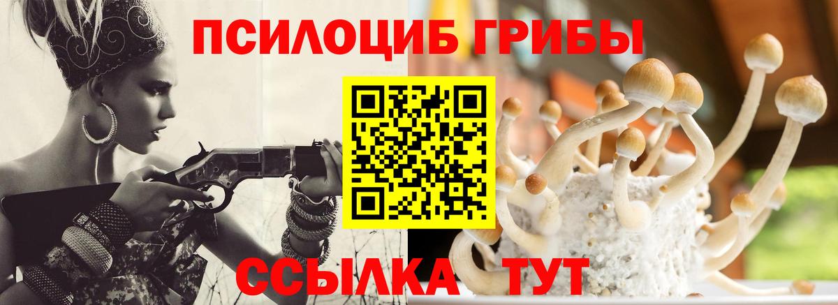Псилоцибиновые грибы мухоморы  Галлюциногенные грибы GOLDEN TEACHER  Вход с VPN  Ростов-на-Дону 